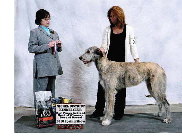 Coniston2010Show#4_BOB