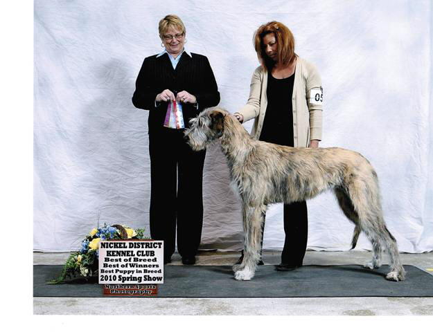 Coniston2010Show#6_BOB