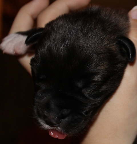 Damon Day 3