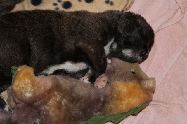 Damon and Dragon Day 20