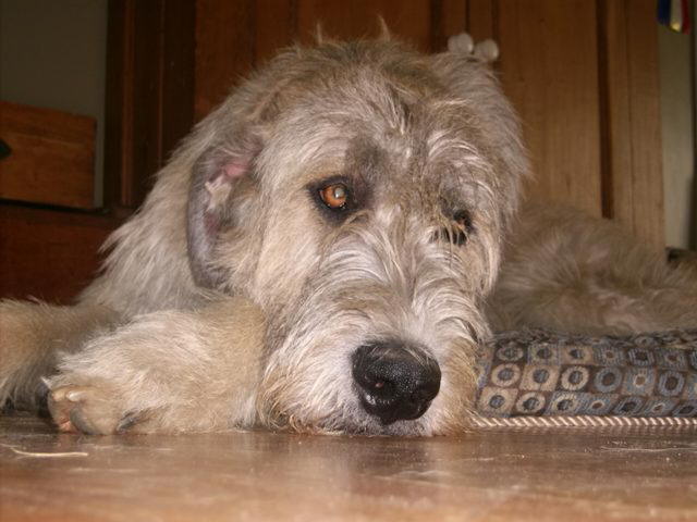 Falling Asleep Jul 2010