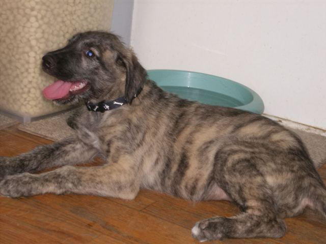 First Day Home Jun 18'10