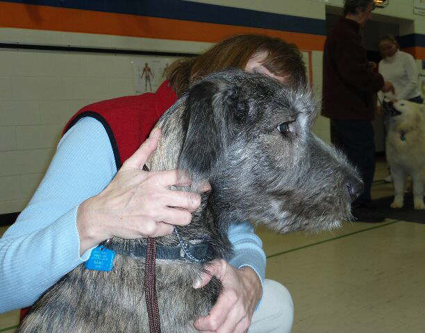 First Handling Class