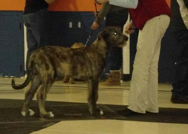 First Handling Class 2