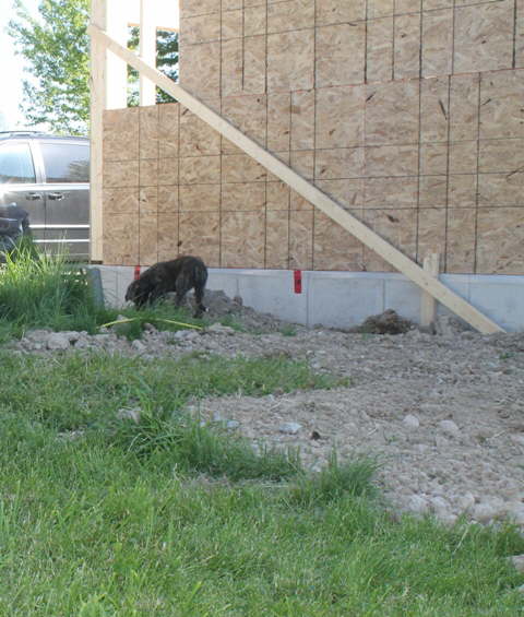 Getting into trouble