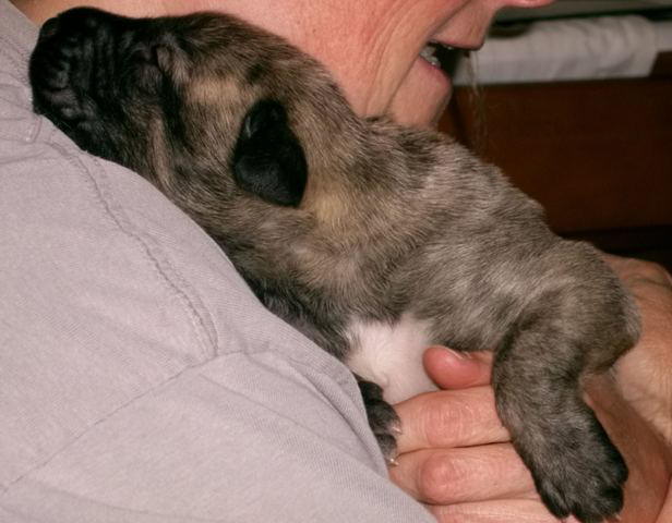 Heera Cuddles May 15'10