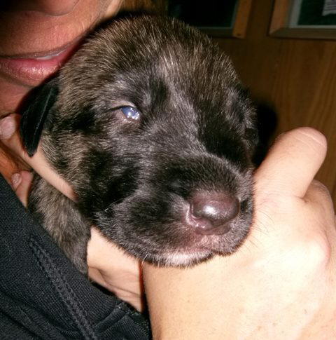 Heera & Mommy May 15'10