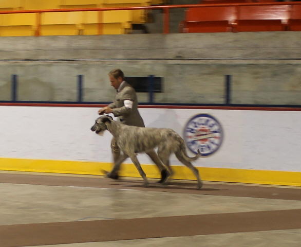 Hochelaga May 2011-1