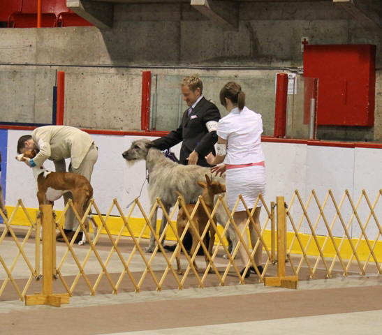 Hochelaga May 2011-7