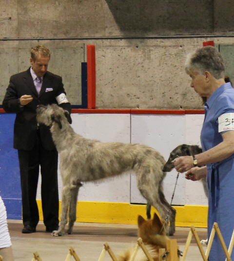 Hochelaga May 2011-9