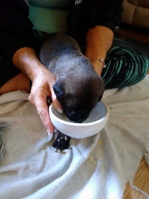 IMG_20190919_105417615