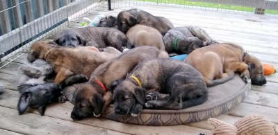 IMG_20191015_174120892-1