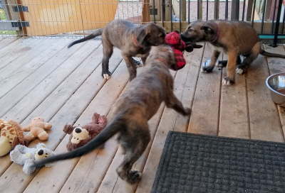 IMG_20191020_152936719-1