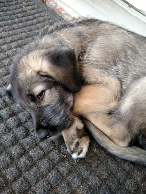 IMG_20191020_163410423