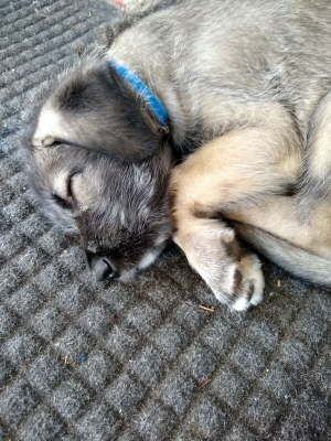 IMG_20191020_163809107