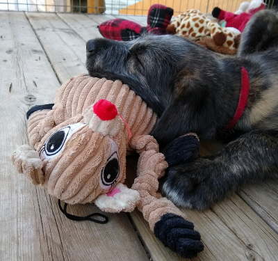 IMG_20191029_160629852-1