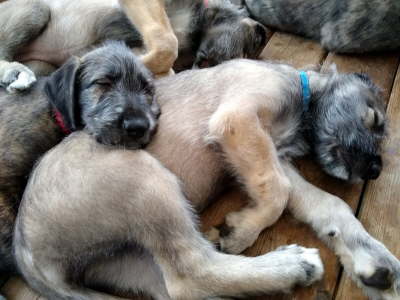 IMG_20191031_155728538