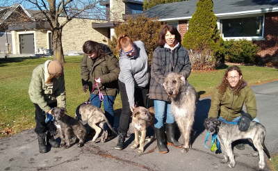 IMG_20191124_111252599-1