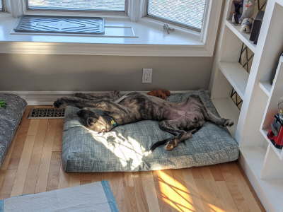 IMG_20191124_1340201