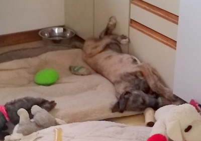 IMG_20191125_120521358-1