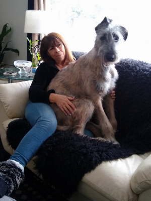 IMG_20200204_162928588