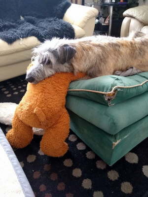 IMG_20200227_151010767