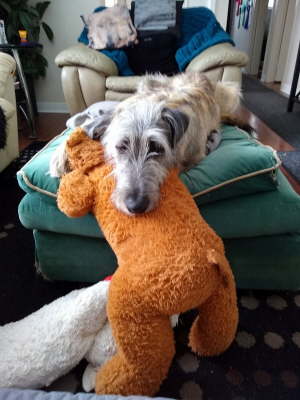 IMG_20200227_151032085