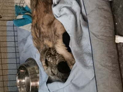 IMG_20230722_220735_BURST001_COVER