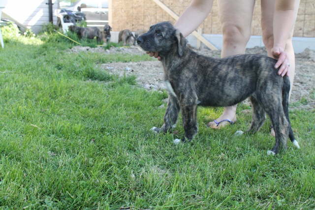 I wanna go with them