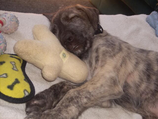 Jun 20'10 Love my pillow