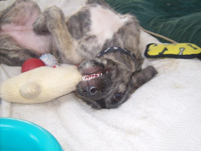 Jun 20'10 My perfect smile