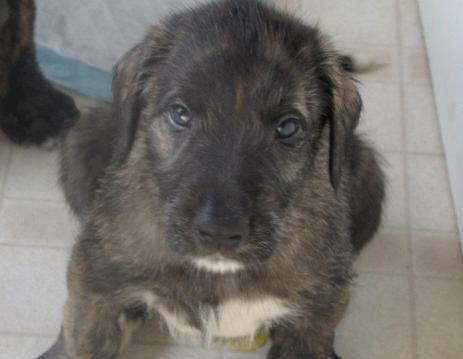 Just look at this face