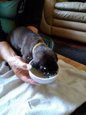 MVIMG_20190919_104556439