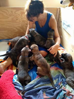 MVIMG_20190923_144127796