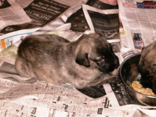 May 26'10 Heera Full