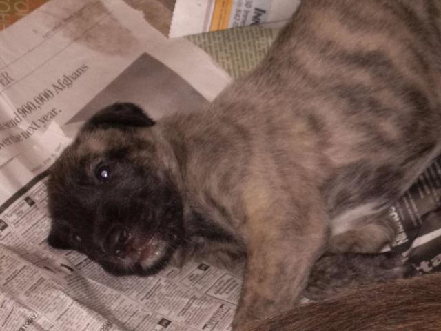 May 26'10 Heera Lounging