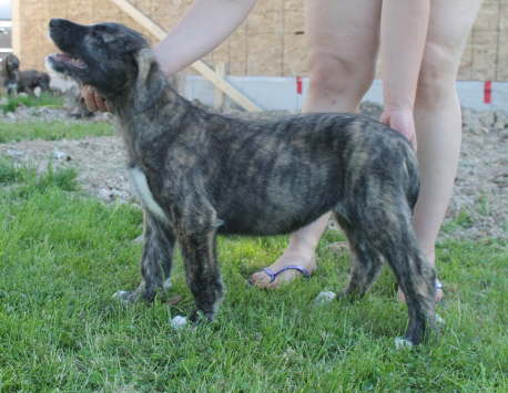 Mommy Lani stacking me