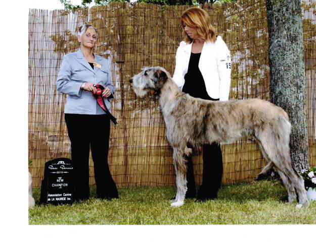 New Champion Trois Rivieres Jun 10