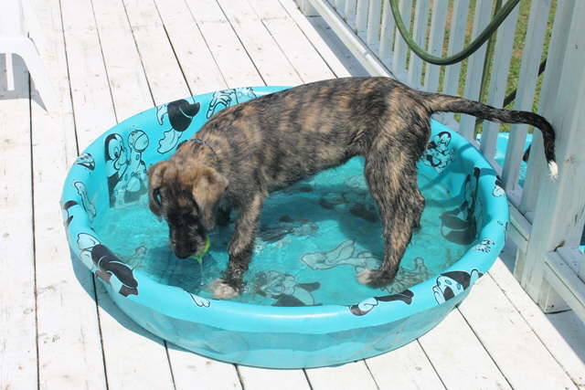 Pool time