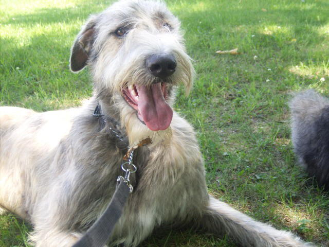 Sheenan Enjoying the venue June 25'10