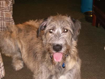 Sheenan Markham Motel room