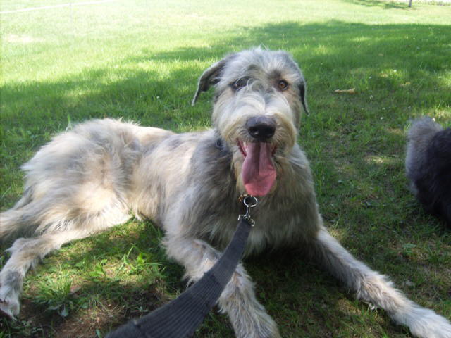 Sheenan Trois Rivieres June 25'10