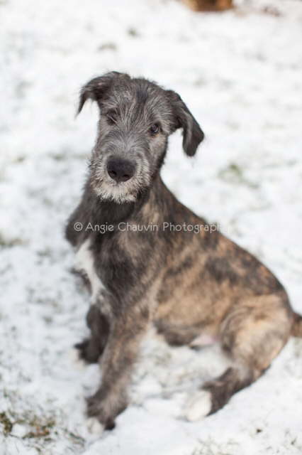 Sitting Like A Big Boy