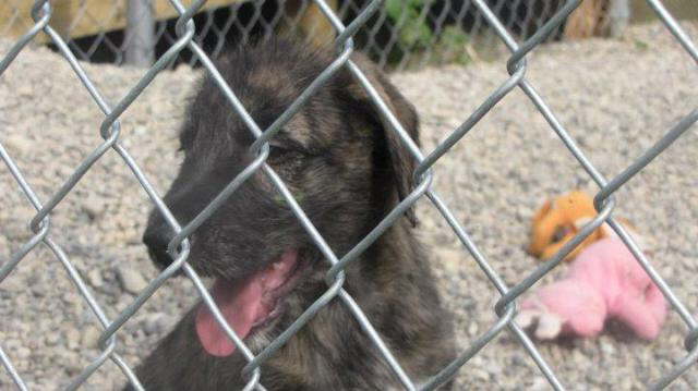 Waiting for new mommy