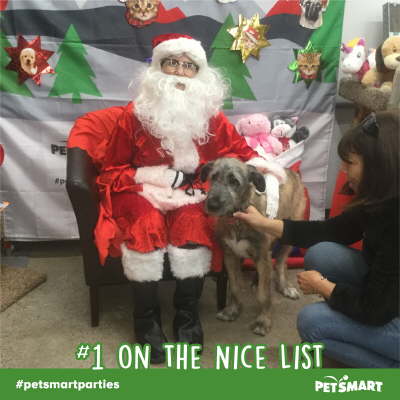 d7643d6c-b13d-4c68-9c21-e1324a08549f