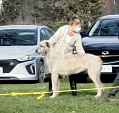 facebook_1603555965313_6725801199539272262