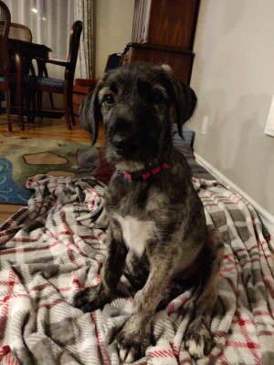 image000001