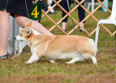 received_1180413886150703