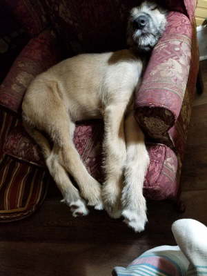 received_458385208152309