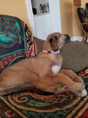 received_715597762262563